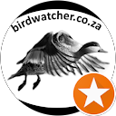 Ben Fouche profile picture
